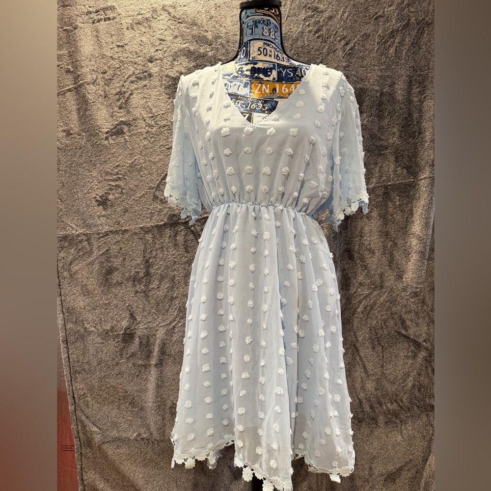 Aluna Levi Light Blue Swiss Dot Lace Dress | Size M